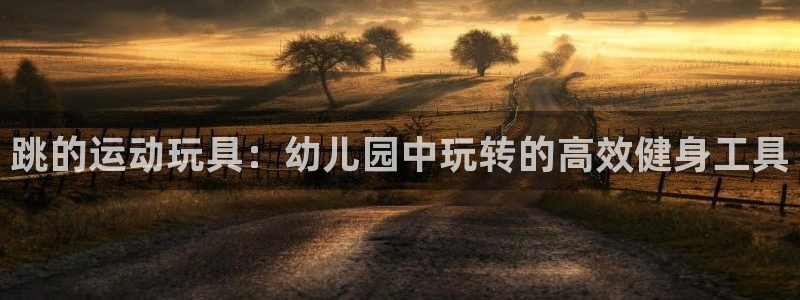 emc易倍体育官方正版app娱乐代理怎么样:跳的运动玩具:幼