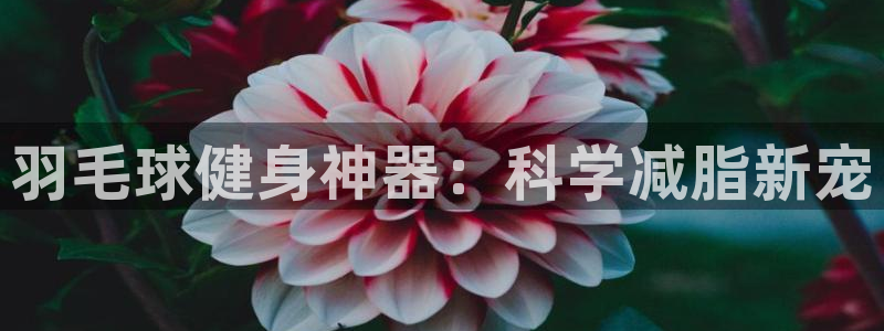 emc易倍体育官网下载平台注册要钱吗安全吗:羽毛球健身神器: